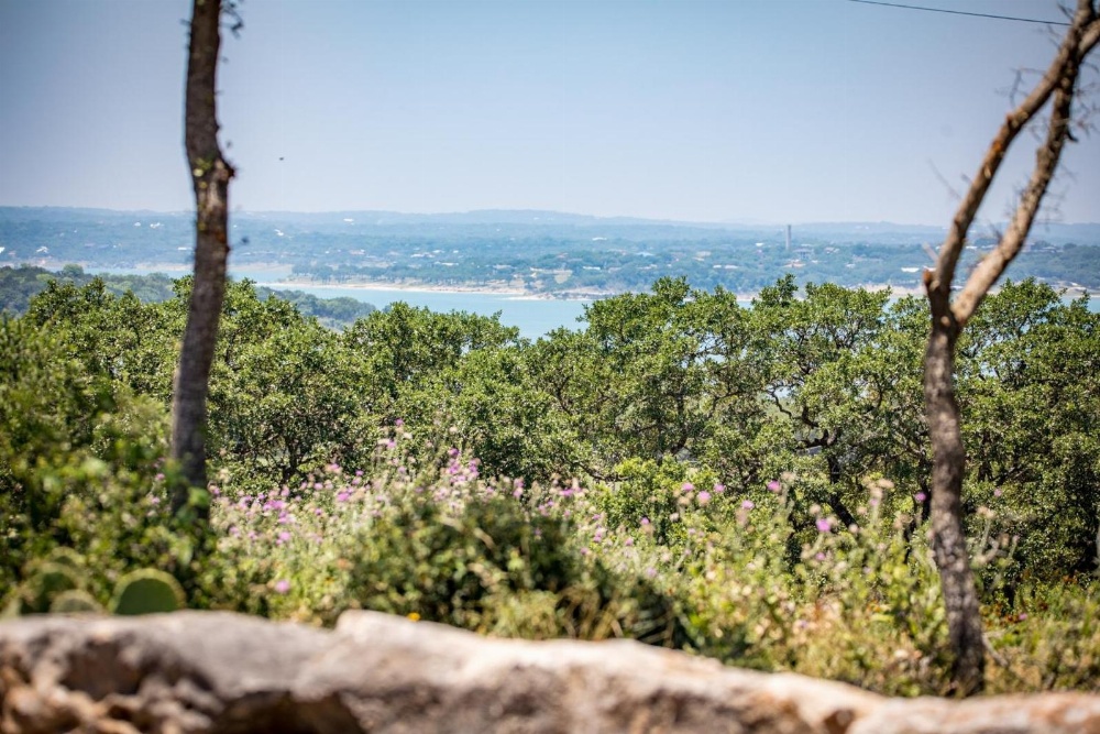 HILLS AND CHILLS home Main image